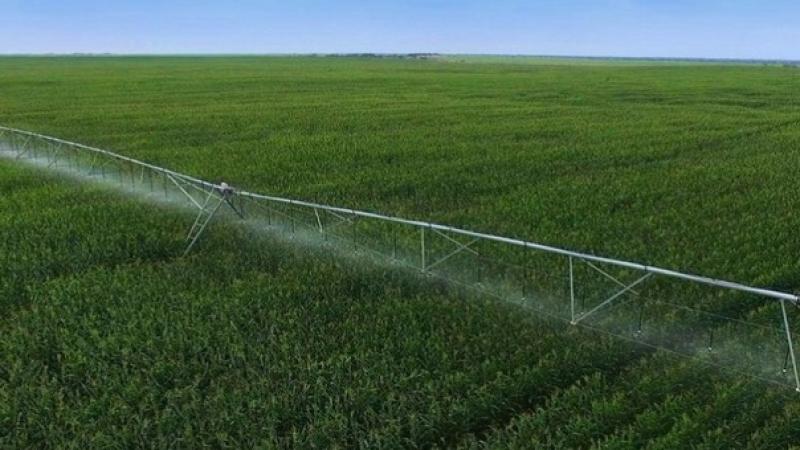 Existe un proceso de concentración de tierras impulsado por las irrigaciones