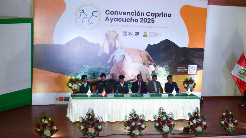Expertos mundiales se reúnen en la Convención Internacional Caprina Ayacucho 2025