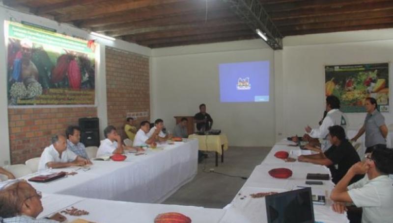 EXPONEN PROYECTO DE PRODUCCIÓN DE CACAO Y PIJUAYO PARA PALMITO