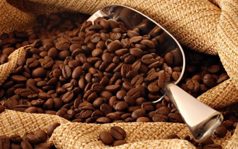EXPORTACIÓN DE CAFÉ ASCENDERÍA US$ 650 MILLONES ESTE AÑO