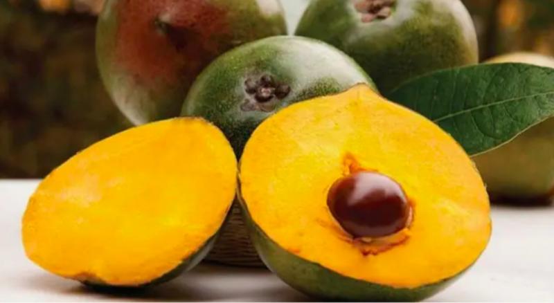 Exportación de lúcuma crece a casi 7% anual, pero agricultores tienen dificultades para hacer rentable su producción