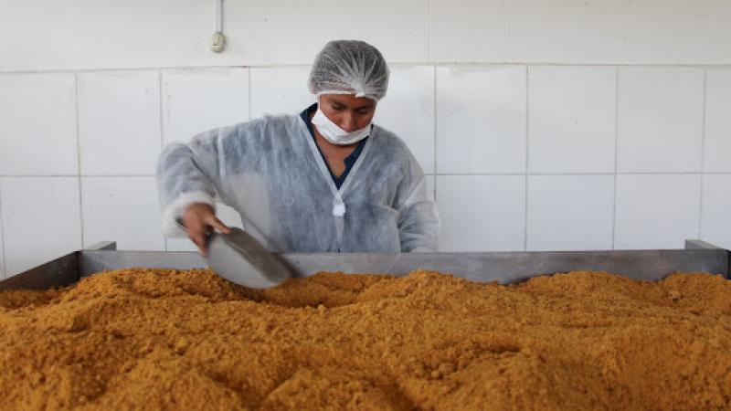 Exportación de panela por parte de Norandino crecería 56% en volumen este año