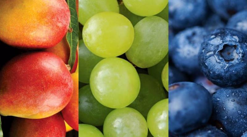 Exportaciones agroindustriales peruanas a Honduras sumaron US$ 41.269.000