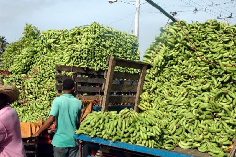 EXPORTACIONES AGROPECUARIAS CRECIERON 18.3%