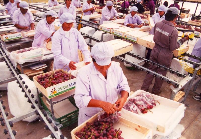 Exportaciones de alimentos de Ica alcanzaron los US$ 1.081 millones entre enero y julio de 2023