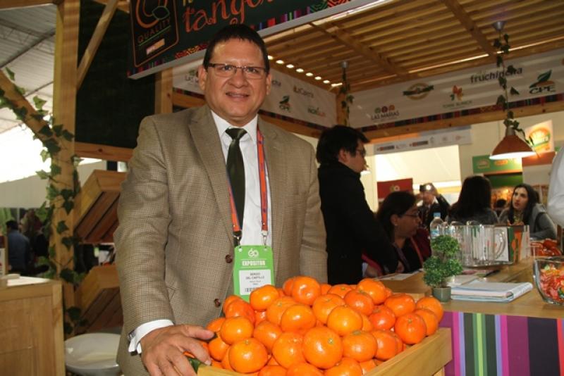 Exportaciones de cítricos crecerían 15% este año