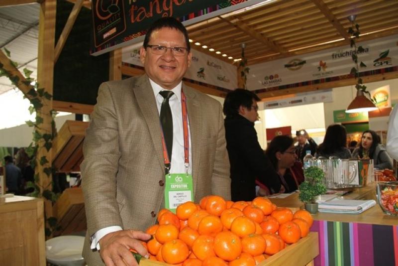 Exportaciones de cítricos por parte de los asociados a Procitrus crecerían 6% en volumen este año