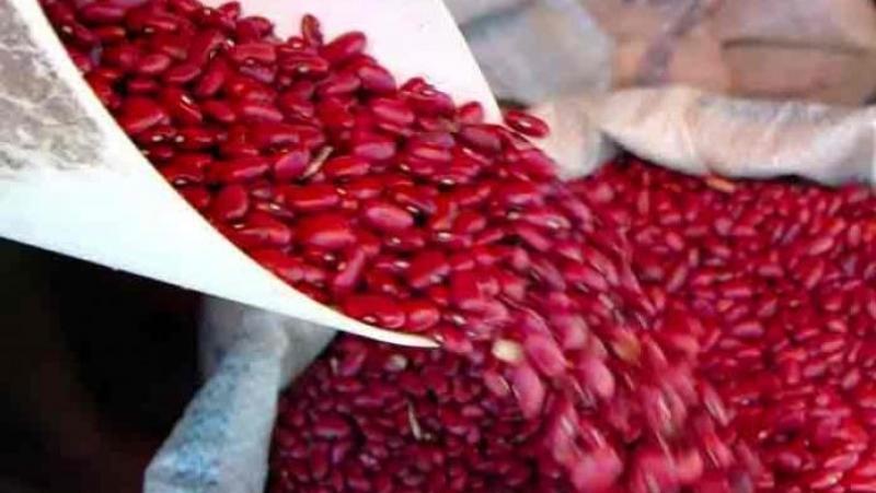 Exportaciones de frijol fresco de Perú caen -10% en volumen y -13% en valor en el primer trimestre del 2025