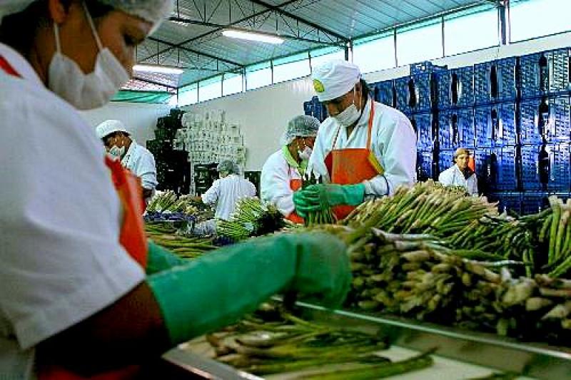 EXPORTACIONES DE FRUTAS Y HORTALIZAS FRESCAS ASCIENDEN A US$ 940 MILLONES
