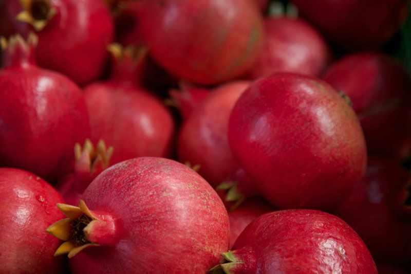 EXPORTACIONES DE GRANADA CRECERÍAN 20% ESTE AÑO