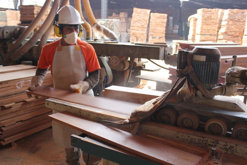 Exportaciones de madera caen por tercer año consecutivo