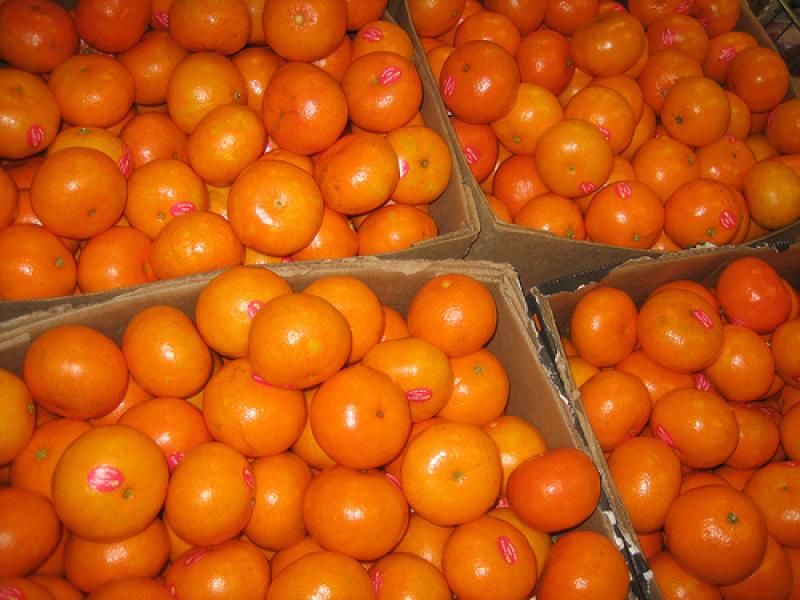 EXPORTACIONES DE MANDARINA CRECIERON 570%