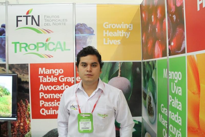 EXPORTACIONES DE MANGO FRESCO DE FTN CRECERÍAN 266.6% EN CAMPAÑA 2014/2015