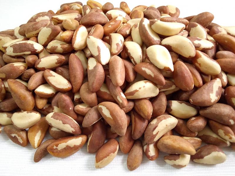 Exportaciones de nueces de Brasil sumaron 1.300 toneladas por US$ 7.3 millones en el primer cuatrimestre del año