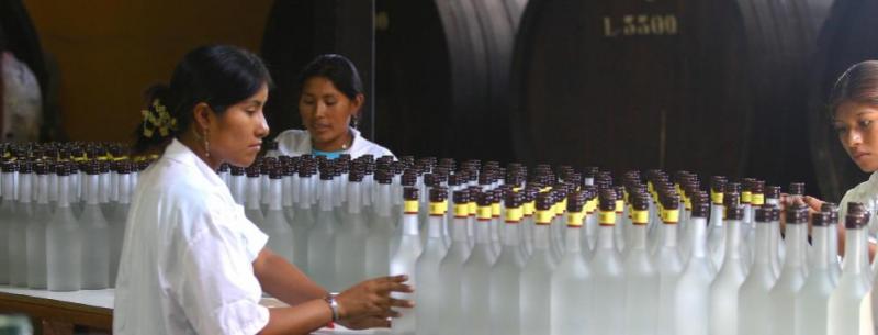 Exportaciones de pisco sumaron US$ 4.964.000 en los primeros nueve meses de 2019