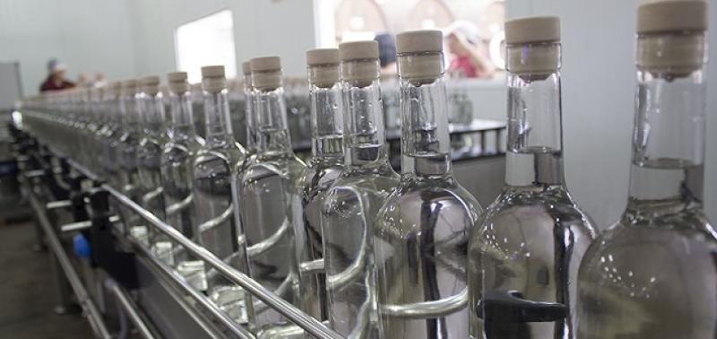 Exportaciones de pisco sumaron US$ 8.882.000 entre enero y noviembre de 2023, mostrando una reducción de -4%