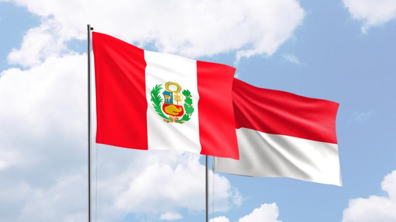 Exportaciones peruanas a Indonesia sumaron US$ 14.3 millones en el primer trimestre de 2024, mostrando un aumento de 89.4%