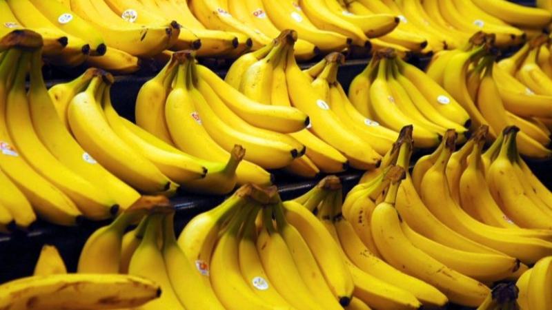 Exportaciones peruanas de banano llegaron a 18 mercados en agosto