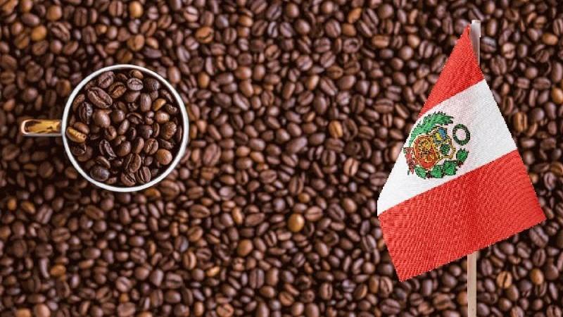 Exportaciones peruanas de café en grano verde crecen 22% en valor, pero caen -32.5% en volumen entre enero y julio
