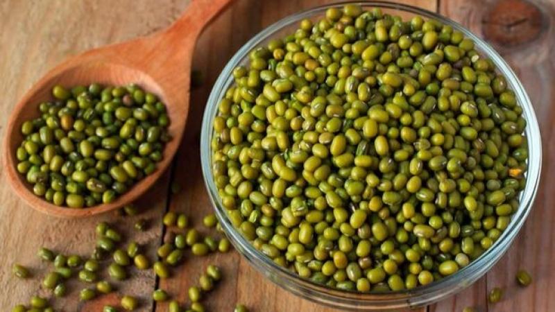 Exportaciones peruanas de frejol loctao crecieron 27.4% en 2024