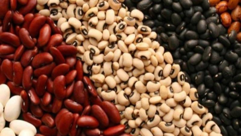 Exportaciones peruanas de frijol superaron los US$ 100 millones en 2024