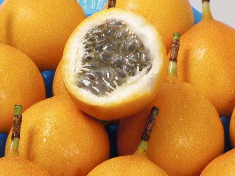 Exportaciones peruanas de granadilla crecieron +7.87% en volumen y +35.16% en valor entre enero y agosto de 2023