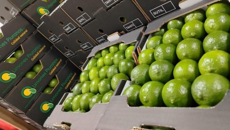 Exportaciones peruanas de lima Tahití crecen un 30% pese a dificultades logísticas y climáticas