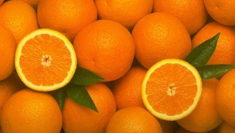 Exportaciones peruanas de naranja alcanzaron las 4.739 toneladas por US$ 4.9 millones en julio de 2024