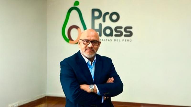 Exportaciones peruanas de palta Hass baten récord en la campaña 2025