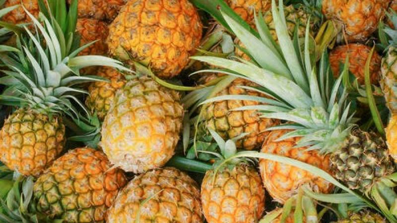 Exportaciones peruanas de piña alcanzaron las 1.976 toneladas en julio de 2025