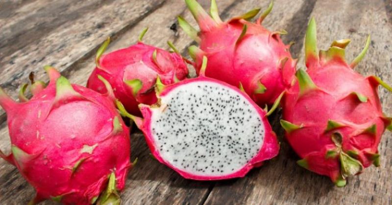 Exportaciones peruanas de pitahaya alcanzaron las 2 toneladas por US$ 9.000 en 2021