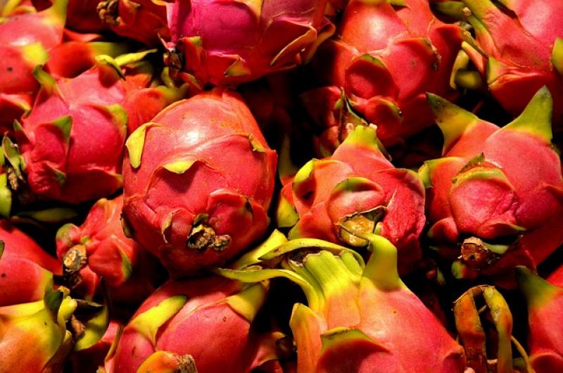 Exportaciones peruanas de pitahaya alcanzaron los US$ 233.704 en 2023, cifra 13 veces mayor a lo registrado en 2022