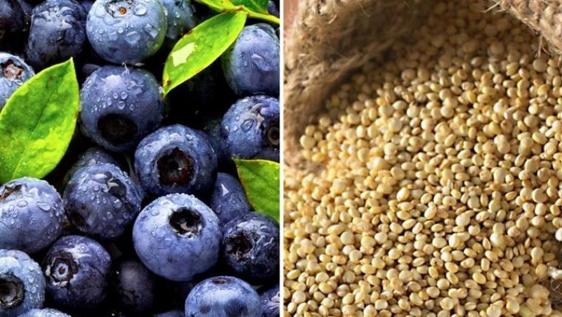 Exportaciones peruanas de productos no tradicionales se multiplicaron por 10 en los últimos 25 años