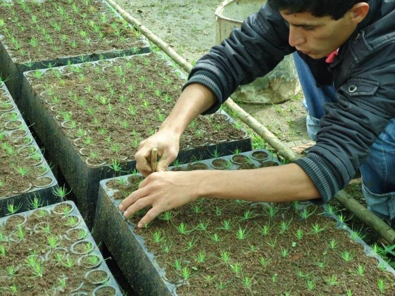 EXPUSIERON PROYECTO DE DEFORESTACIÓN DE CHIRINOS EN VIII FERIA DEL CAFÉ