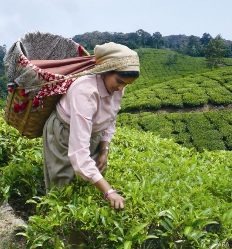 FALTA CAPACITAR A MUJERES EN EL AGRO