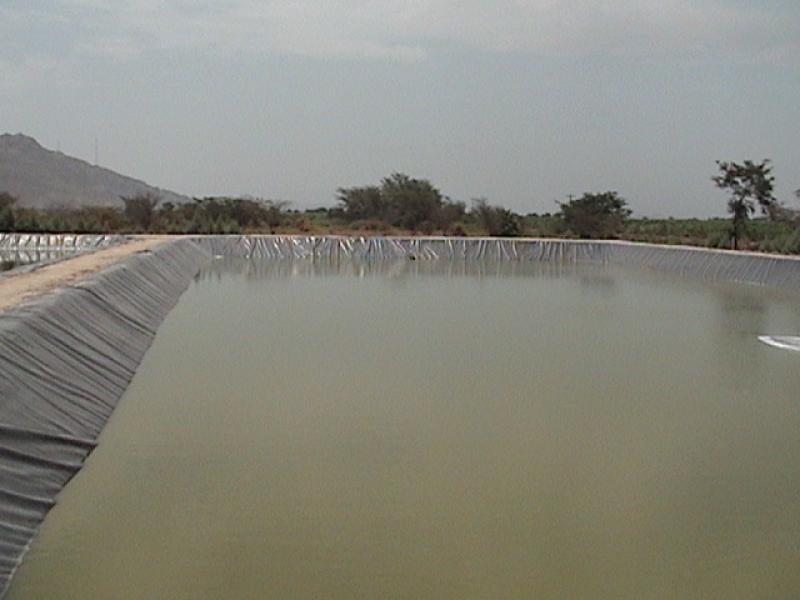 FALTA DE AGUA PERJUDICARÍA A 15 MIL AGRICULTORES