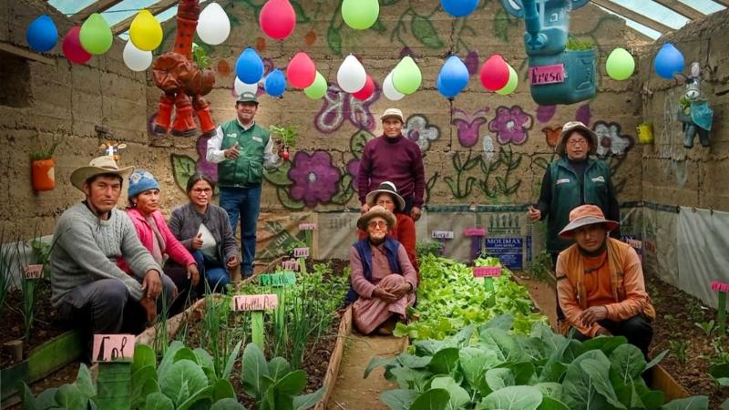 Familias de Junín producen hortalizas de calidad en fitotoldos construidos por Agro Rural