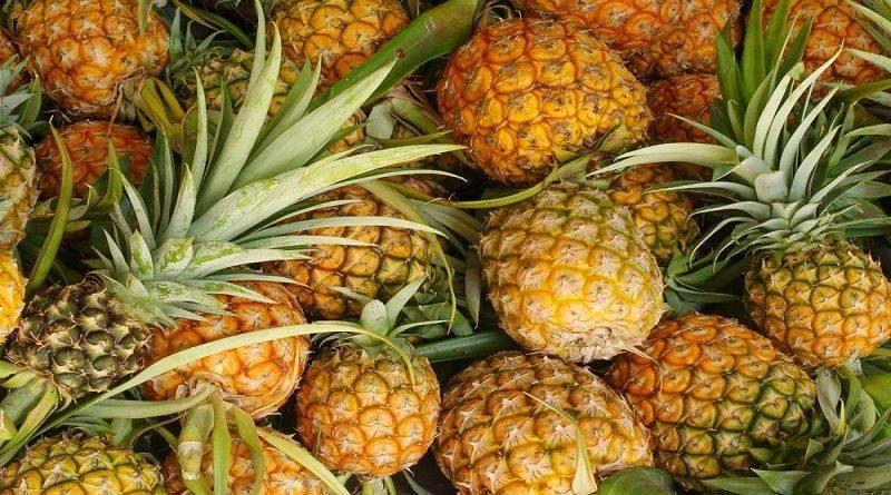 FAO: Exportación mundial de piña habría alcanzado las 3.2 millones de toneladas en 2023, lo que significaría un aumento de 4%