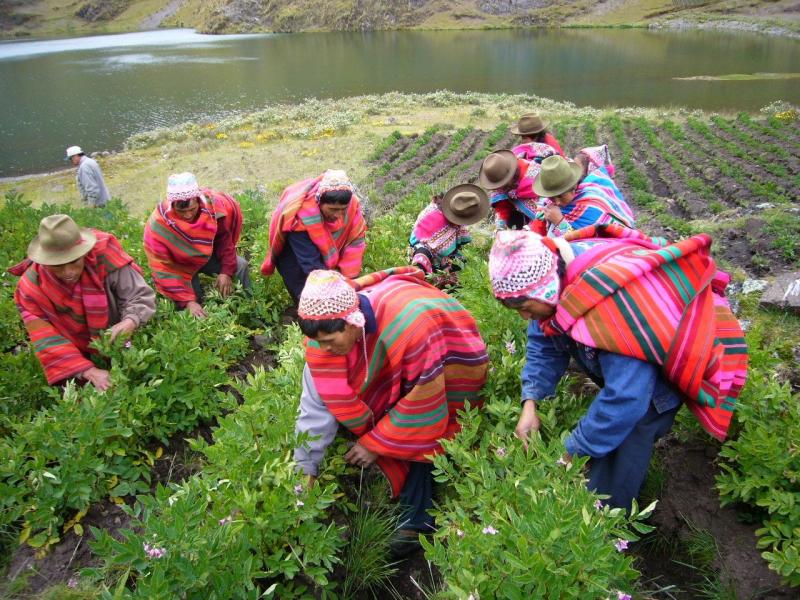 FAO ORGANIZA SEMINARIO PARA RECONOCER VALOR DE POBLACIONES INDÍGENAS