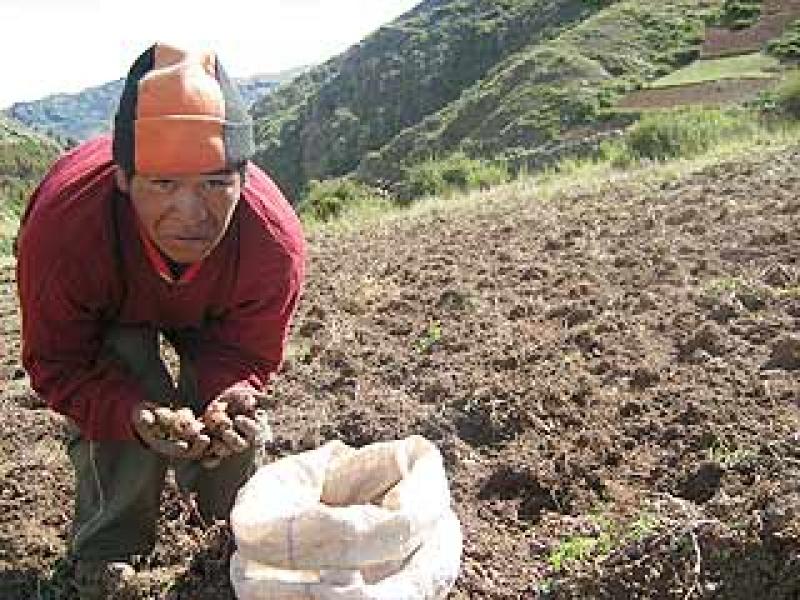 FAO RESALTA LA IMPORTACIA DE LAS "COOPERATIVAS RURALES"