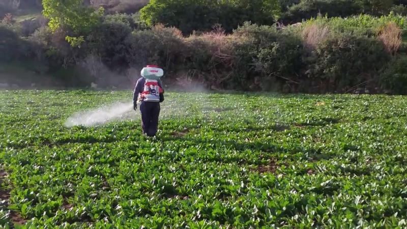 FAO: Un tercio de los suelos del planeta están de moderado a altamente degradados