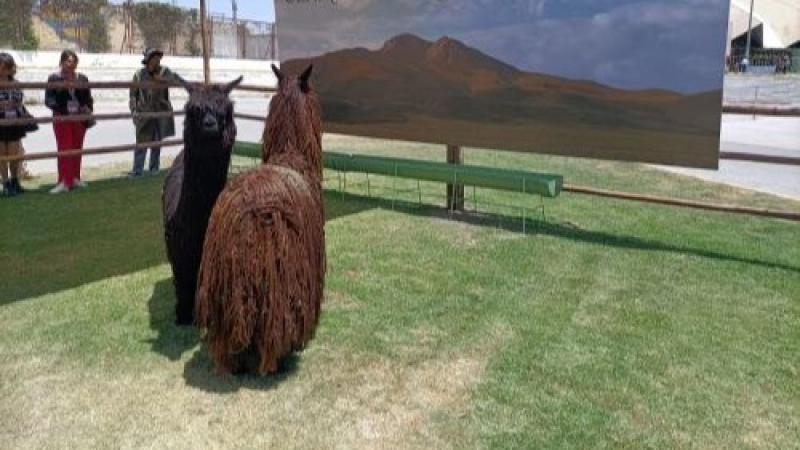 Ferias Perú Moda Deco y Alpaca Fiesta generarán negocios por US$ 85.5 millones