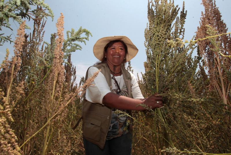 FIDA apoyará el desarrollo de tres proyectos en el agro el próximo año