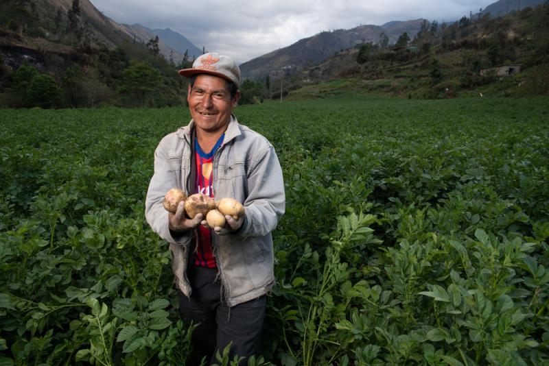 FIFPPA impulsará la inclusión financiera y asociatividad de los pequeños productores agropecuarios