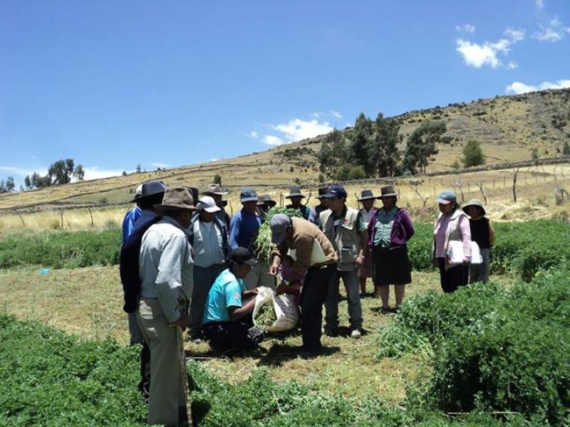FIRMAN CONVENIO DE PROYECTO PRODUCTIVO QUE BENEFICIARÁ A MIL FAMILIAS DE AYACUCHO