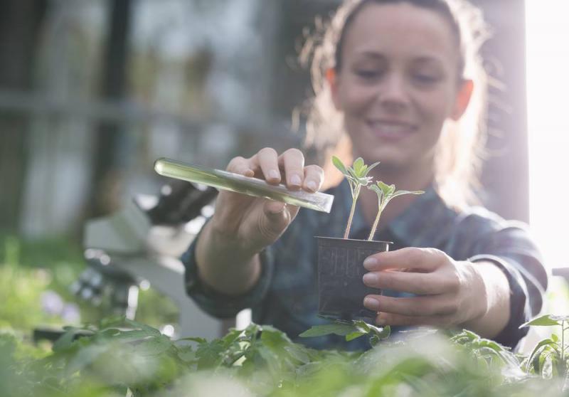 Fondo Verde para el Clima acredita al IICA para implementar proyectos de resiliencia climática de la agricultura