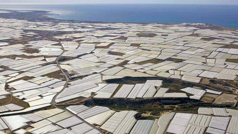 Francia perdió más de 1.4 millones de hectáreas de cultivo en 10 años