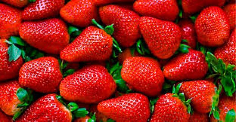Fresa peruana llegó a 11 mercados en febrero de 2025