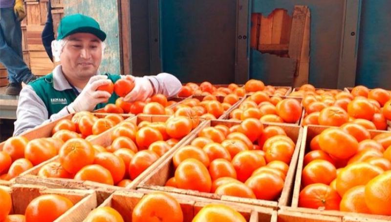 Frutas participaron con el 59% de las agroexportaciones peruanas hasta abril