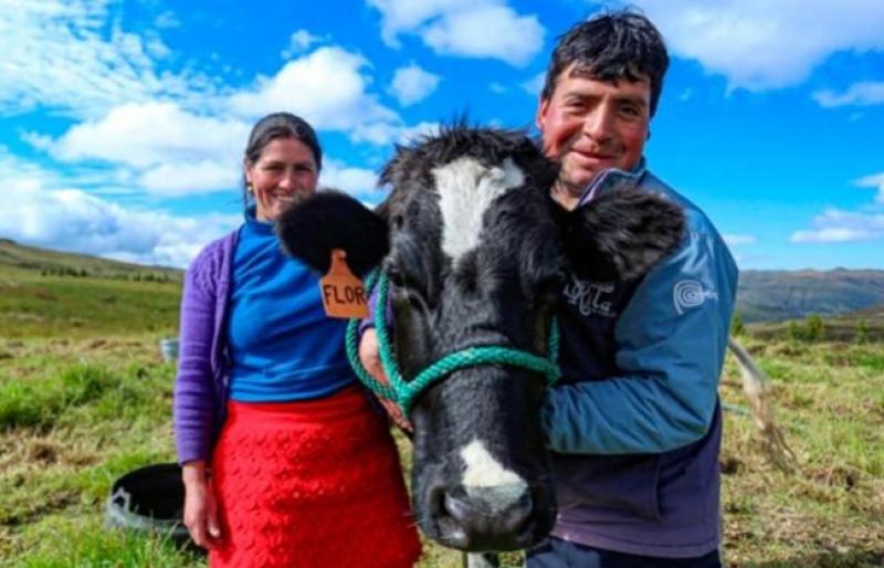 Ganaderos con hasta 200 vacunos o 600 ovinos calificarán a los créditos